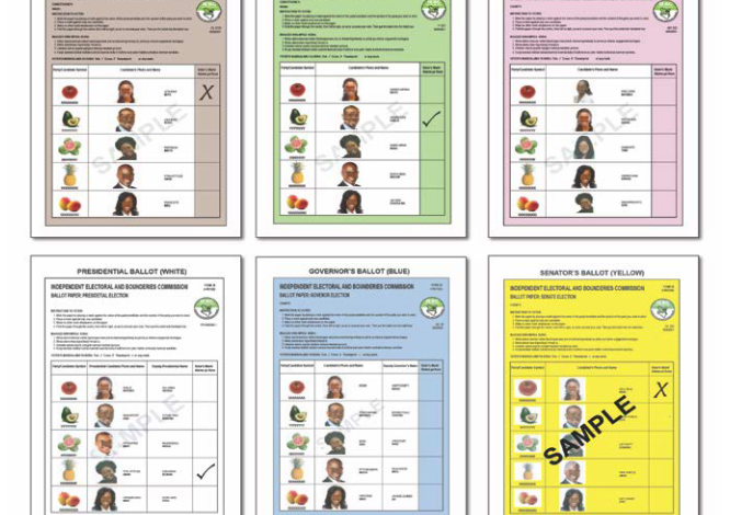 Photo of Monitor the Elections – a Step-by-Step Guide(1)