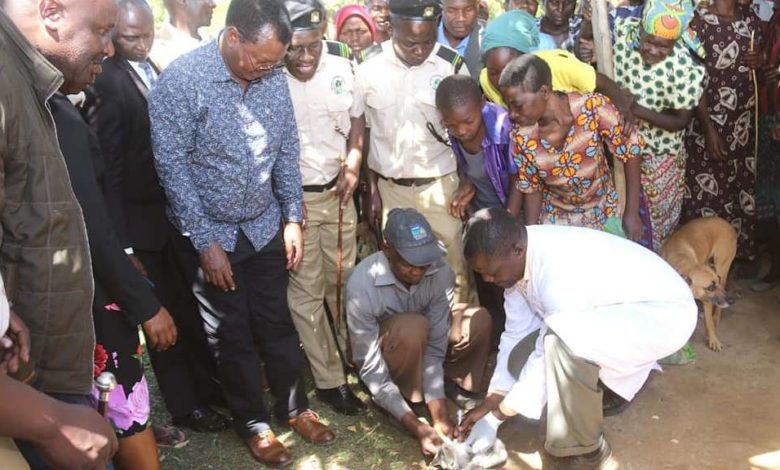 Kakamega County executive on a public livestock vaccination show in January 2019, while the budget process was delayed. Photo: Kakamega County Executive facebook page.